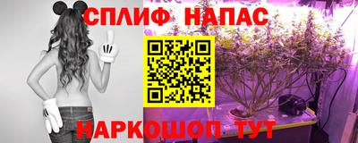 индика Чебоксары