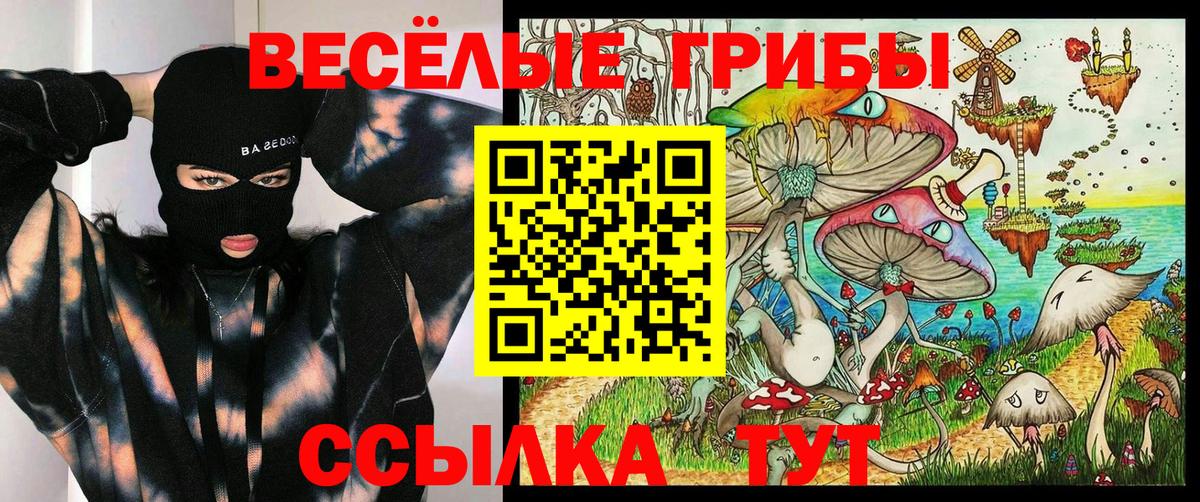 Новодвинск  Галлюциногенные грибы прущие грибы  Галлюциногенные грибы мухоморы  Вход с VPN 